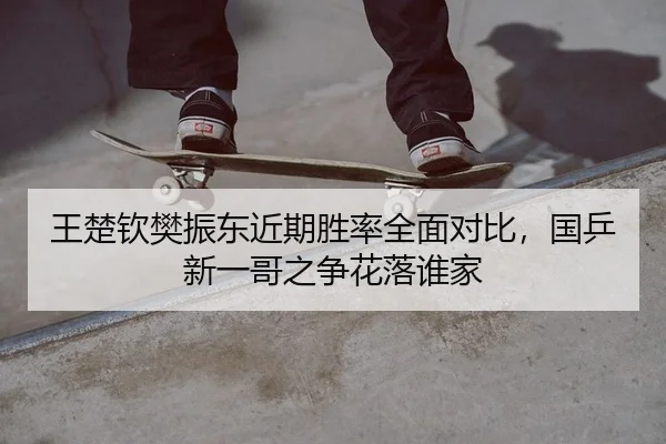 wang-chu-qin-fan-zhen-dong-jin-qi-sheng-lv-quan-mian-dui-bi-guo-ping-xin-yi-ge-zhi-zheng-hua-luo-shui-jia-2-112.jpg